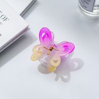 Double Layer Butterfly Grip Gradient Color Hair Clip sku image 2