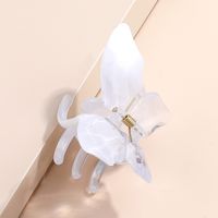 Fashion Diamond Surface Butterfly Grip Back Head Shark Clip Jelly Frosted Texture Barrettes main image 3