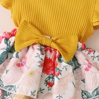 Fashion Baby Sunken Stripe Flounced Sleeve Floral Rompers Jumpsuit main image 4