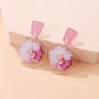 Fashion New Round Transparent Acrylic Flower Butterfly Shaped Earrings sku image 4