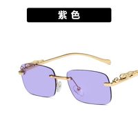 Cheetah Decoration Sunglasses  New Frameless Square Retro Leopard Metal Sunglasses sku image 8