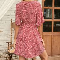 Spring And Summer New Printed V-neck Short Sleeve Casual Loose Dress main image 2