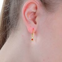 Classic Simple Fashion Flower Plated Bling Gold Copper Earrings main image 1