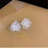 Summer New Fashion Transparent Flower  Women's Resin Stud Earrings main image 3