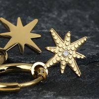 New Stainless Steel Gold-plated Snowflake Pendant Inlaid Zircon Earrings main image 5