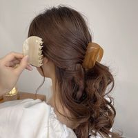 Nueva Horquilla De Ácido Acético Para Mujer, Accesorios Para El Cabello Con Clip De Agarre Para La Cabeza Trasera main image 2