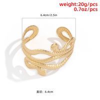 Simple Style Snake Iron Plating No Inlaid Women'S Bracelets main image 4