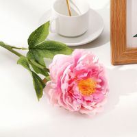 Fleur De Simulation En Gros Rose Unique Décoration De Mariage Tissu De Soie Fausse Fleur main image 4