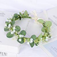 Fashion Garland Simulation Gypsophila Eucalyptus Headband Headdress main image 1