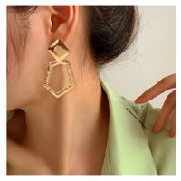 Ins Style Retro Luxurious Geometric Alloy Plating No Inlaid Women's Earrings main image 2