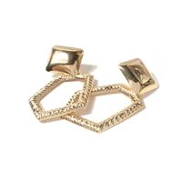 Ins Style Retro Luxurious Geometric Alloy Plating No Inlaid Women's Earrings main image 3