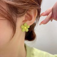 Korean Temperament Net Red Ins Wind Flower Earrings Female 2022 New Trendy Fashion All-match Cute Earrings Earrings main image 5