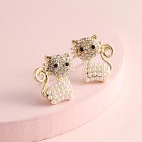 Boucles D'oreilles Asymétriques De Chat De Perle Strass De Mode main image 1