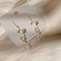 Small Fresh Pearl Flower Ear Hook Korean Temperament Simple Fashion Earring Female Long Tassel Cold Wind Ear Jewelry main image 5