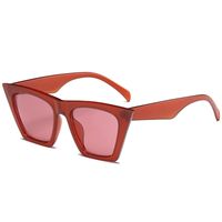 New Fashion Cat-eye Sunglasses Transparent Colorful Frame Retro Sunglasses sku image 3