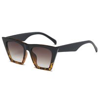 New Fashion Cat-eye Sunglasses Transparent Colorful Frame Retro Sunglasses sku image 5
