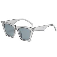 New Fashion Cat-eye Sunglasses Transparent Colorful Frame Retro Sunglasses sku image 6