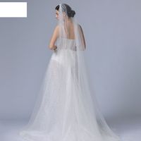 Simple Retro Pearl Veil Hair Comb Bridal Veil main image 4