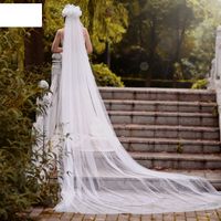 Fashion Trailing Bride Veil With Hair Comb Wedding Veil main image 2