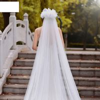 Fashion Trailing Bride Veil With Hair Comb Wedding Veil main image 4