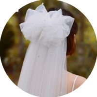 Fashion Trailing Bride Veil With Hair Comb Wedding Veil main image 6
