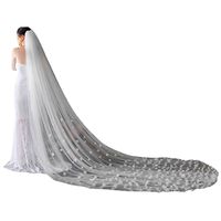 Fashion Simple Handmade Flower Trailing Bridal Wedding Veil main image 6