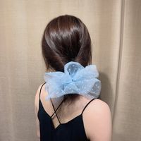 New Summer Women Fashion Big Head Flower Ponytail Hair Rope main image 1