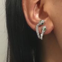 Fashion Ornament Shiny Rhinestone Inlaid Double-headed Snake Stud Earrings main image 4