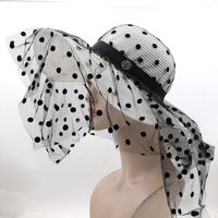 Fashion Retro Polka Dot Lace Big Brim Straw Women's Seaside Hat sku image 3