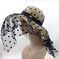 Fashion Retro Polka Dot Lace Big Brim Straw Women's Seaside Hat sku image 5
