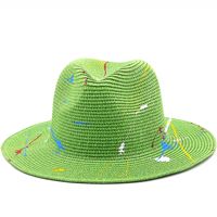 Summer Fashion New Painted Lacquer Graffiti Straw Hat main image 1