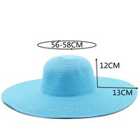 13cm Candy Color Women's Wide Brim Beach Sun-proof Sun Straw Hat main image 3