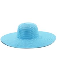 13cm Candy Color Women's Wide Brim Beach Sun-proof Sun Straw Hat sku image 7