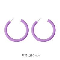 Fashion 925 Silver Needle Earrings Yiwu Nihaojewelry Wholesale New Purple Simple Earrings Korean Flower Earrings sku image 14