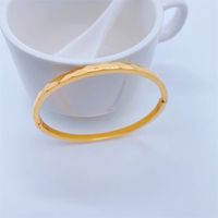 Simple Elegante 18k Chapado En Oro Titanio Acero Pulsera Ornamento Femenino main image 5