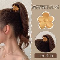 Fashion New Fixed Frosted Solid Color Small Hair Clip Female Hair Accessories sku image 11