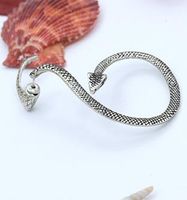 Solid Color Alloy Snake Ear Studs Daily Plating Alloy Clip&cuff Earrings main image 1