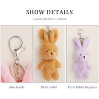 Spot Plush Rabbit Toy Doll Keychain Birthday Rabbit Key Pendants Cute Schoolbag Bag Charm main image 4