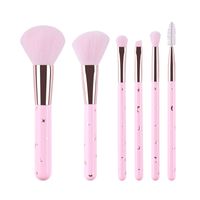 Fashion Aluminum Tube Nylon Brush 6 Piece Pink Makeup Brush Set Wholesale main image 4