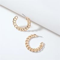 Fashion Geometric Shape Metal Flat Chain Earrings Exaggerated Large Earrings Wholesale Nihaojewelry sku image 1