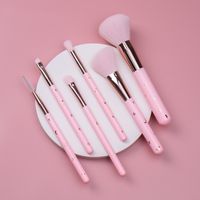 Fashion Aluminum Tube Nylon Brush 6 Piece Pink Makeup Brush Set Wholesale main image 3