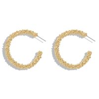 Croix-frontière C En Forme De Boucle D'oreille En Alliage Européen Et Américain Gracieux Géométrique Personnalisé Boucles D'oreilles Cercle Bijoux En Gros sku image 3