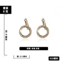 Micro-inlaid Diamond Fashion Earrings sku image 4