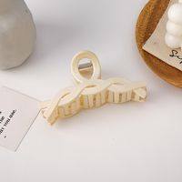 Korean Solid Color Frosted Large Catch Clip Wholesale sku image 2