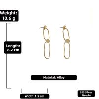 Simple Matte Geometric Long Metal Earrings Wholesale Nihaojewelry sku image 3