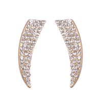 Moderno Elegante Diamante De Imitación De Aleación Llena De Joyas Pendientes De Adorno main image 1