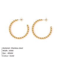 Simple Style Geometric Stainless Steel Earrings sku image 3