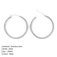 Fashion Geometric Stainless Steel Earrings sku image 3