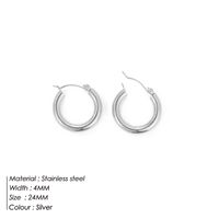 Fashion Geometric Stainless Steel Earrings sku image 2