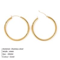 Fashion Geometric Stainless Steel Earrings sku image 6